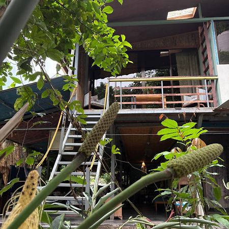 ホテル Organico Punta Riel カウイータ エクステリア 写真