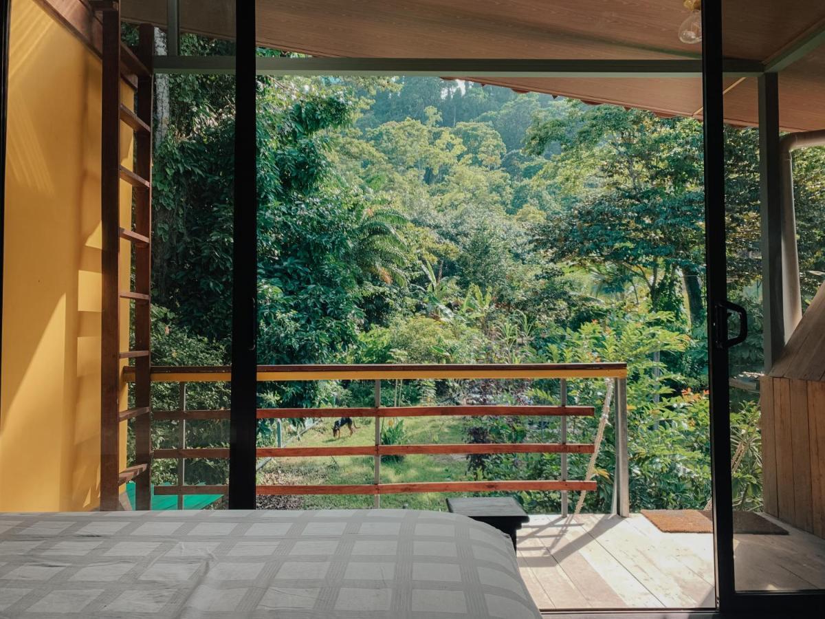 ホテル Organico Punta Riel カウイータ エクステリア 写真