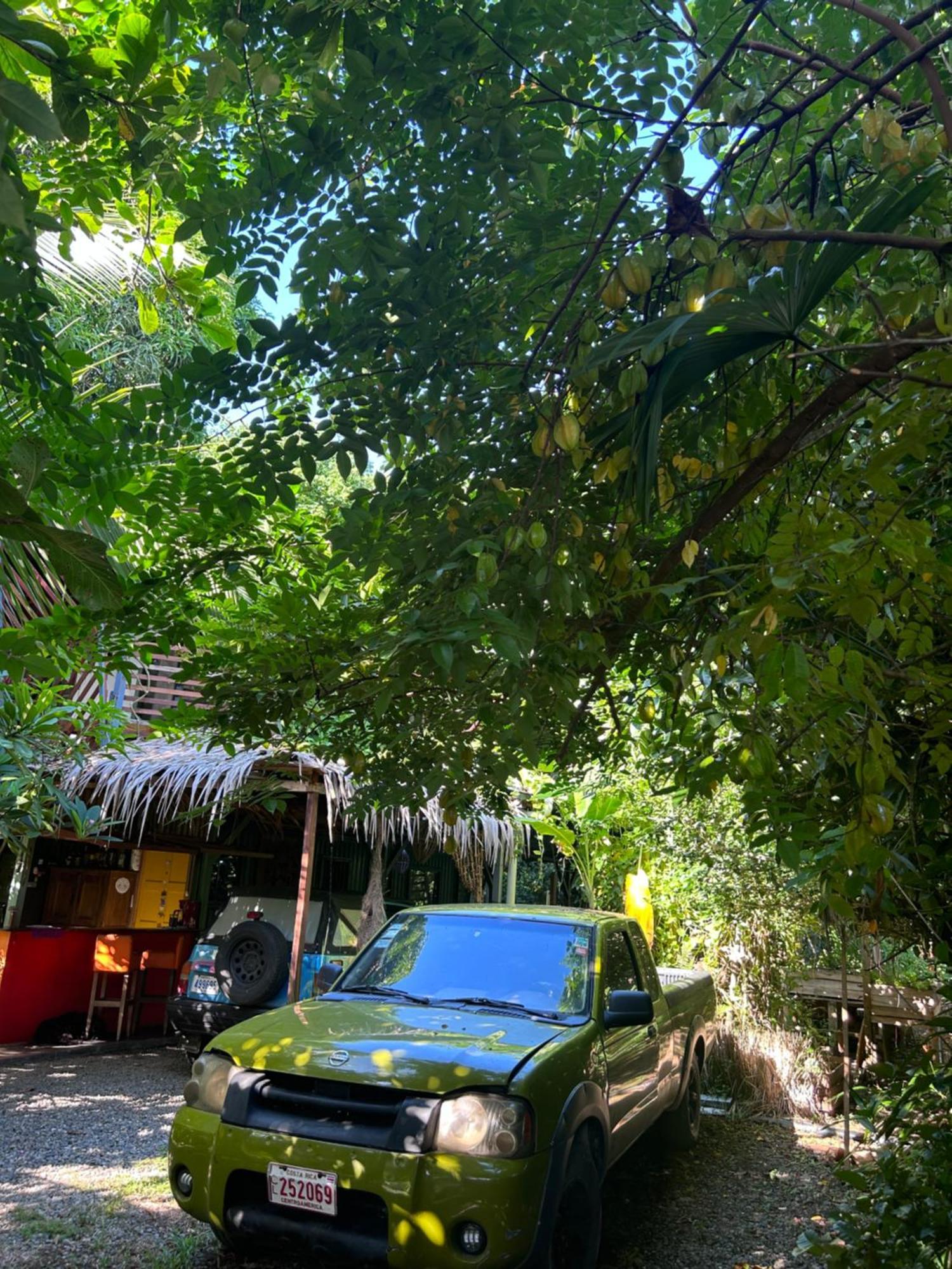 ホテル Organico Punta Riel カウイータ エクステリア 写真