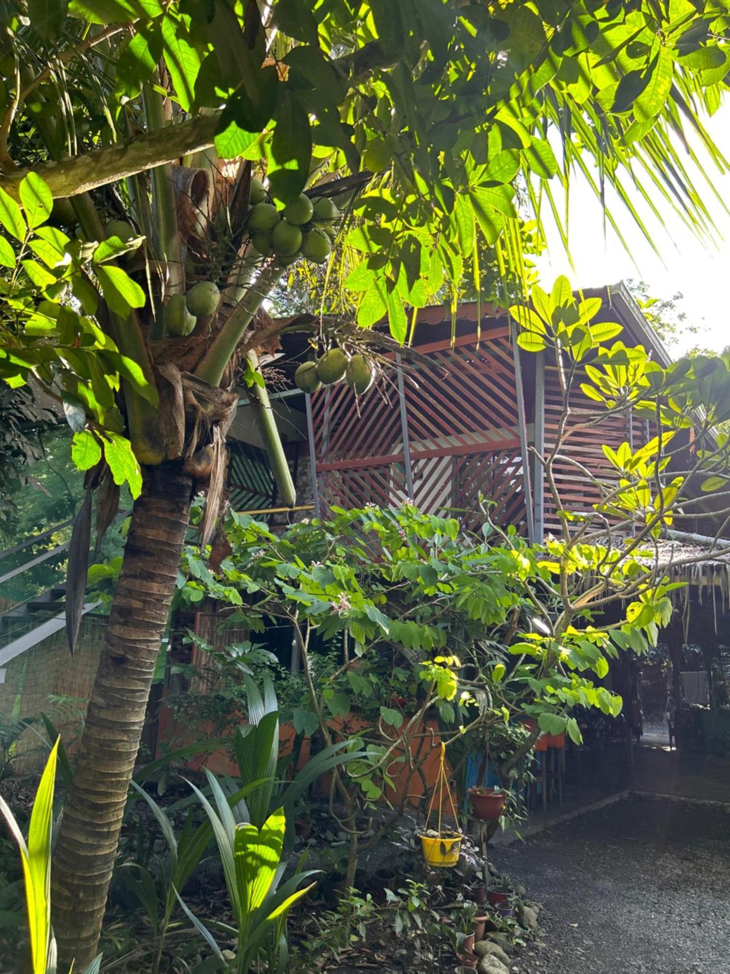 ホテル Organico Punta Riel カウイータ エクステリア 写真