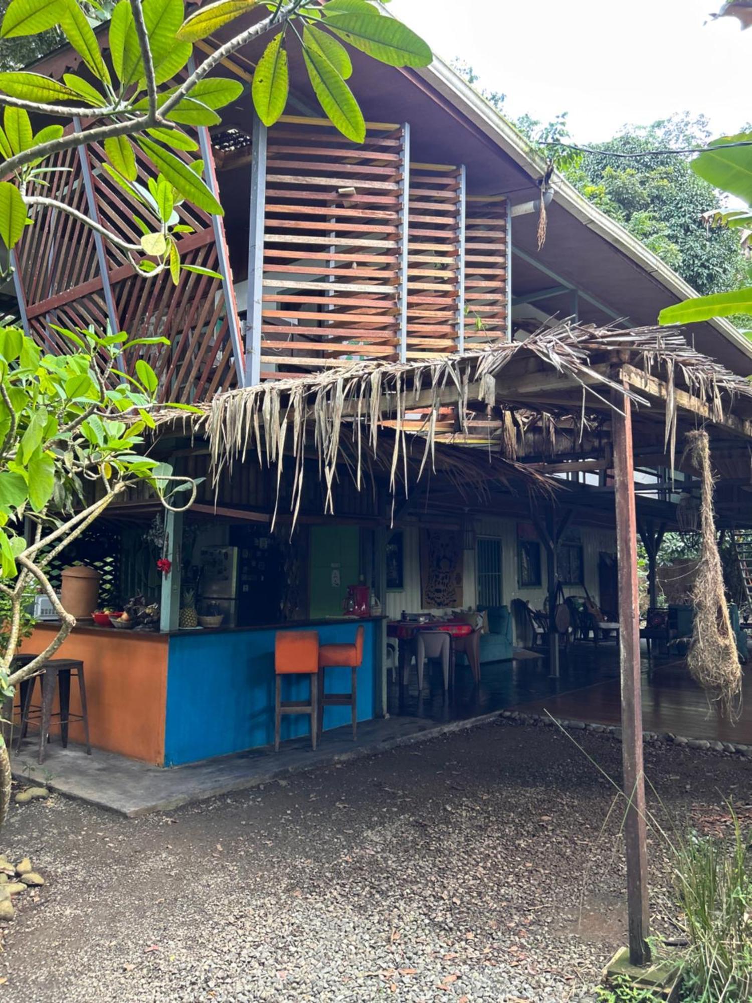 ホテル Organico Punta Riel カウイータ エクステリア 写真