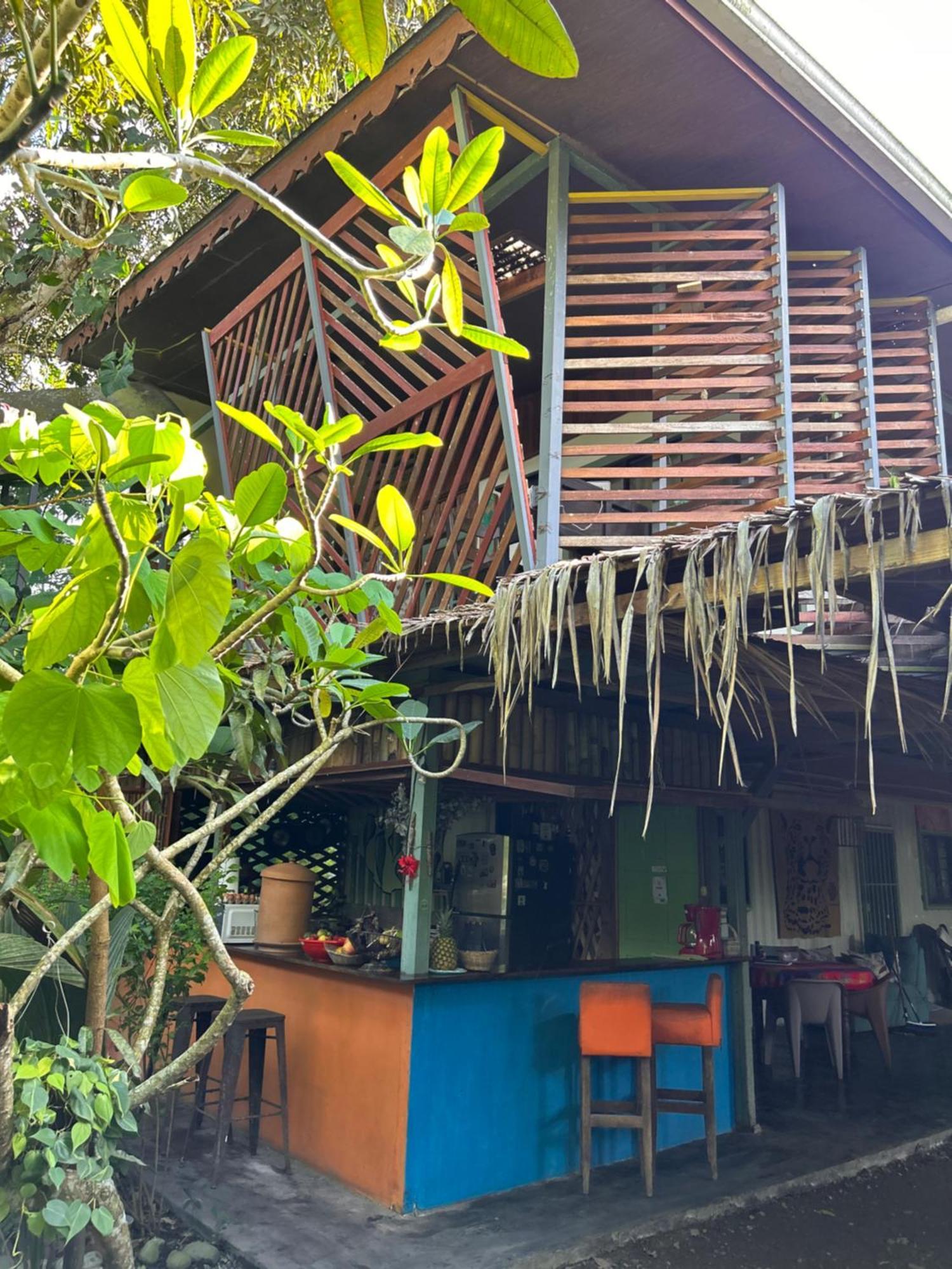 ホテル Organico Punta Riel カウイータ エクステリア 写真