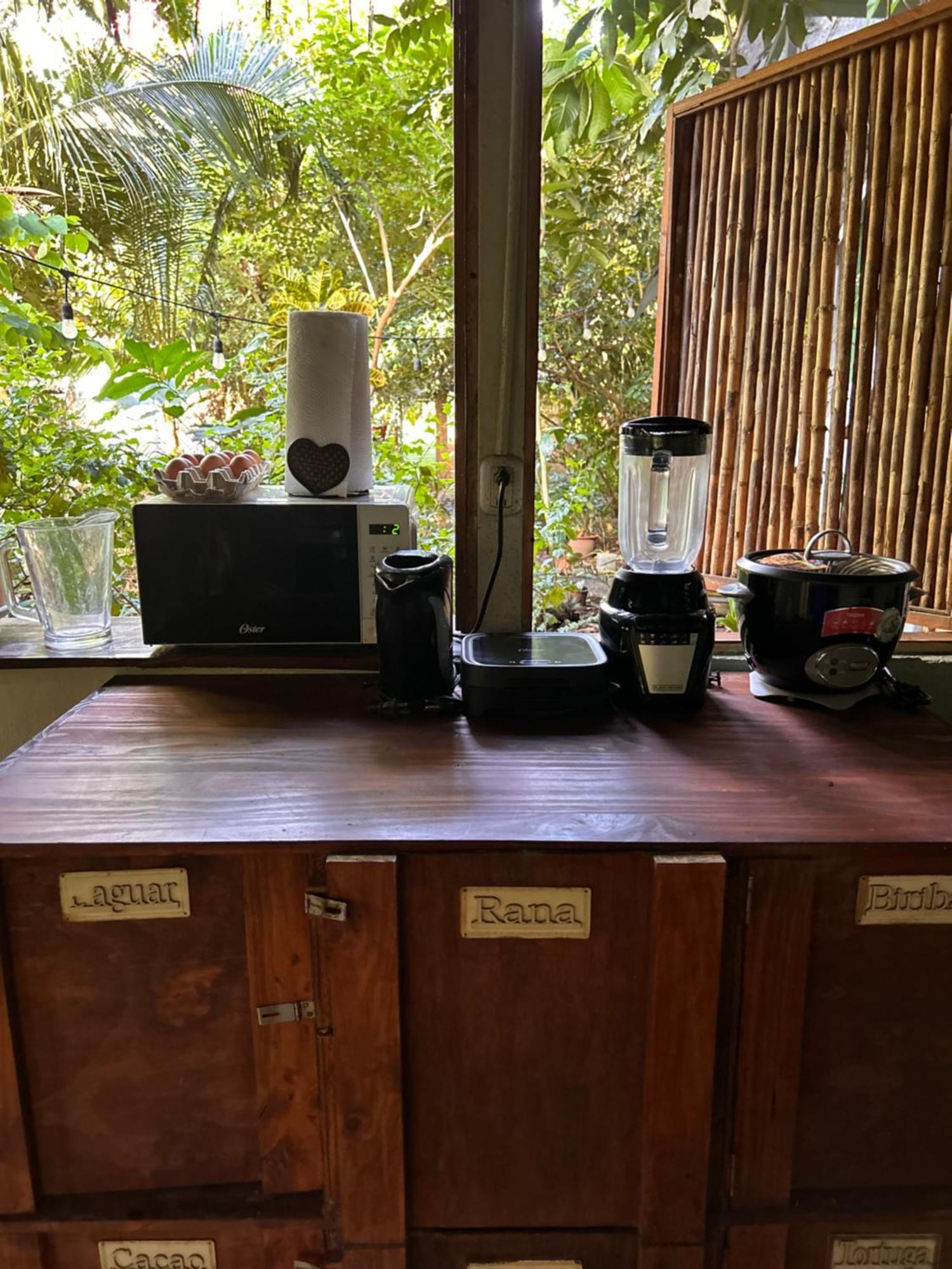 ホテル Organico Punta Riel カウイータ エクステリア 写真