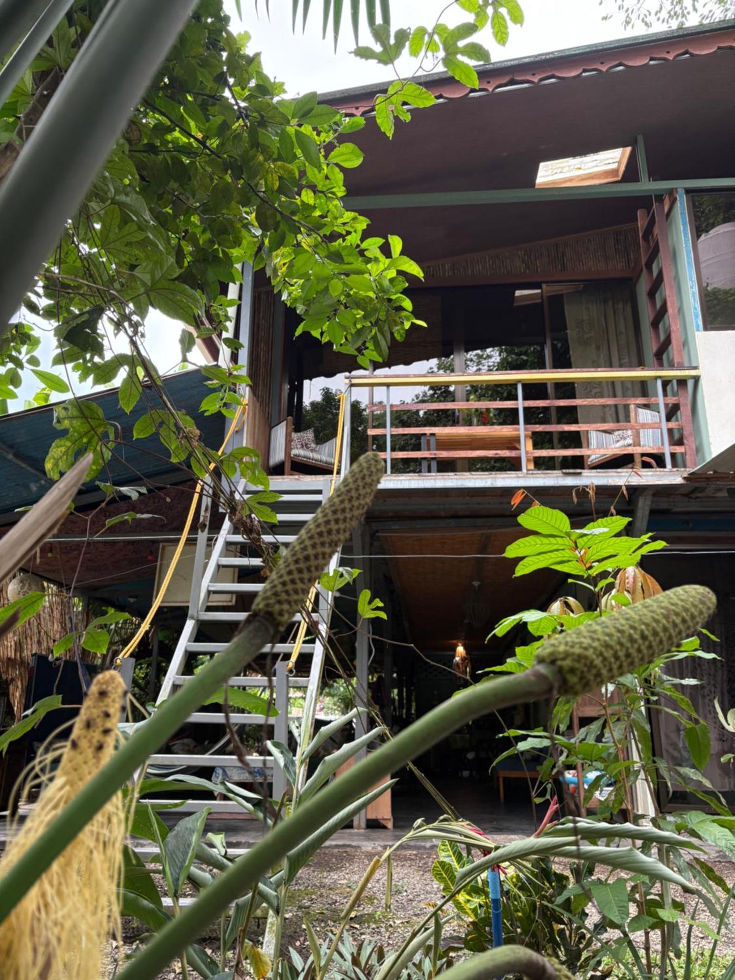 ホテル Organico Punta Riel カウイータ エクステリア 写真