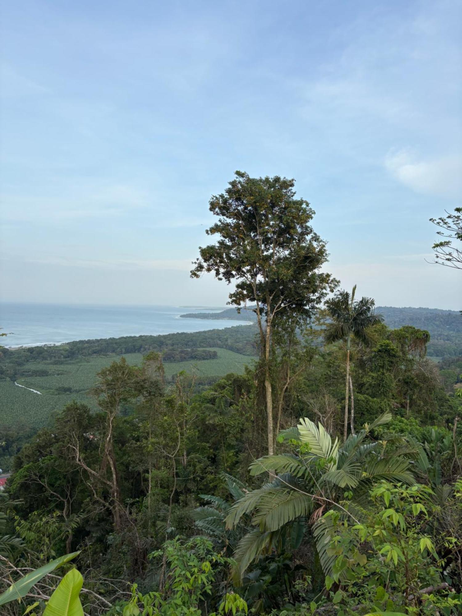 ホテル Organico Punta Riel カウイータ エクステリア 写真