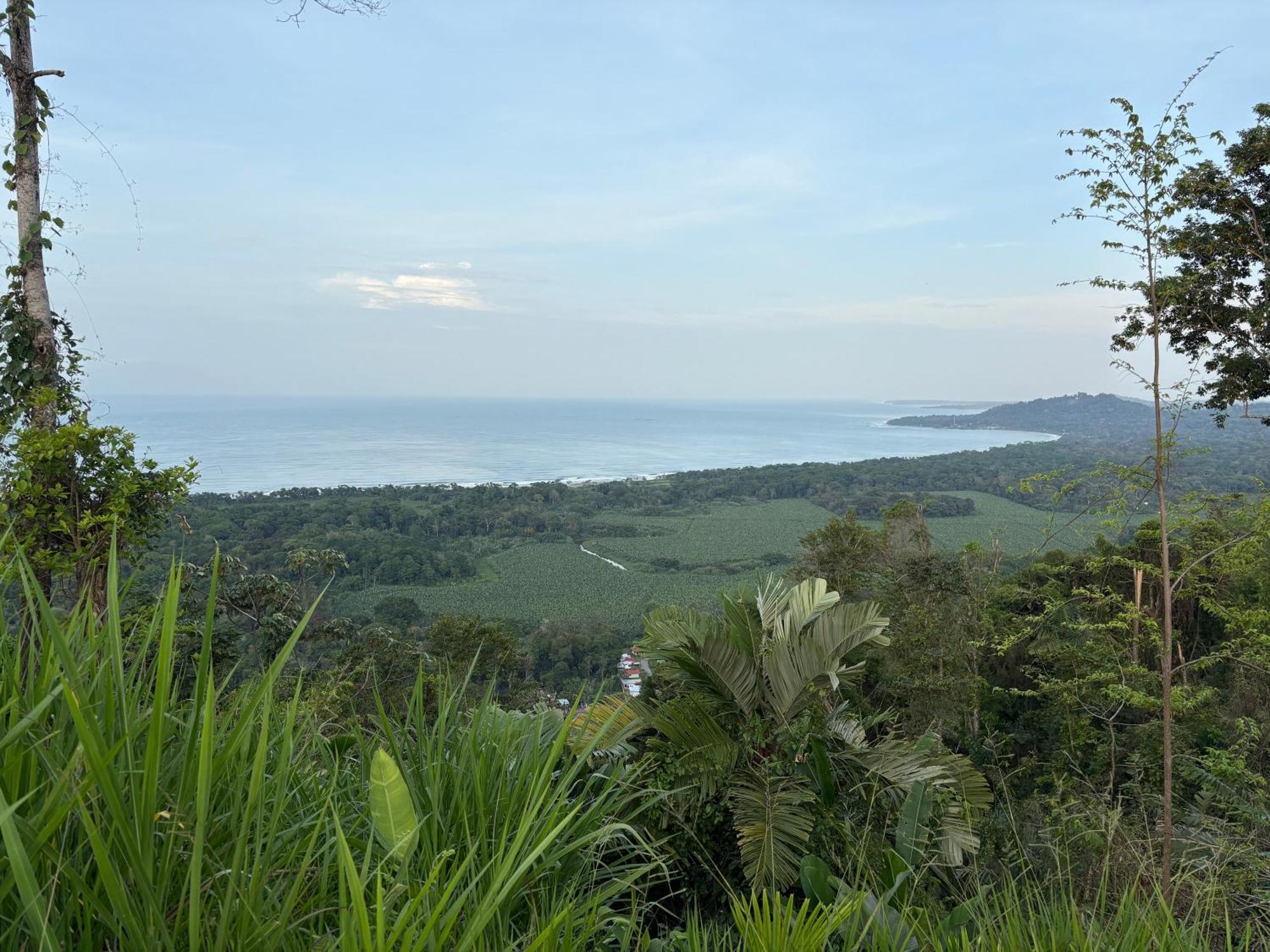 ホテル Organico Punta Riel カウイータ エクステリア 写真