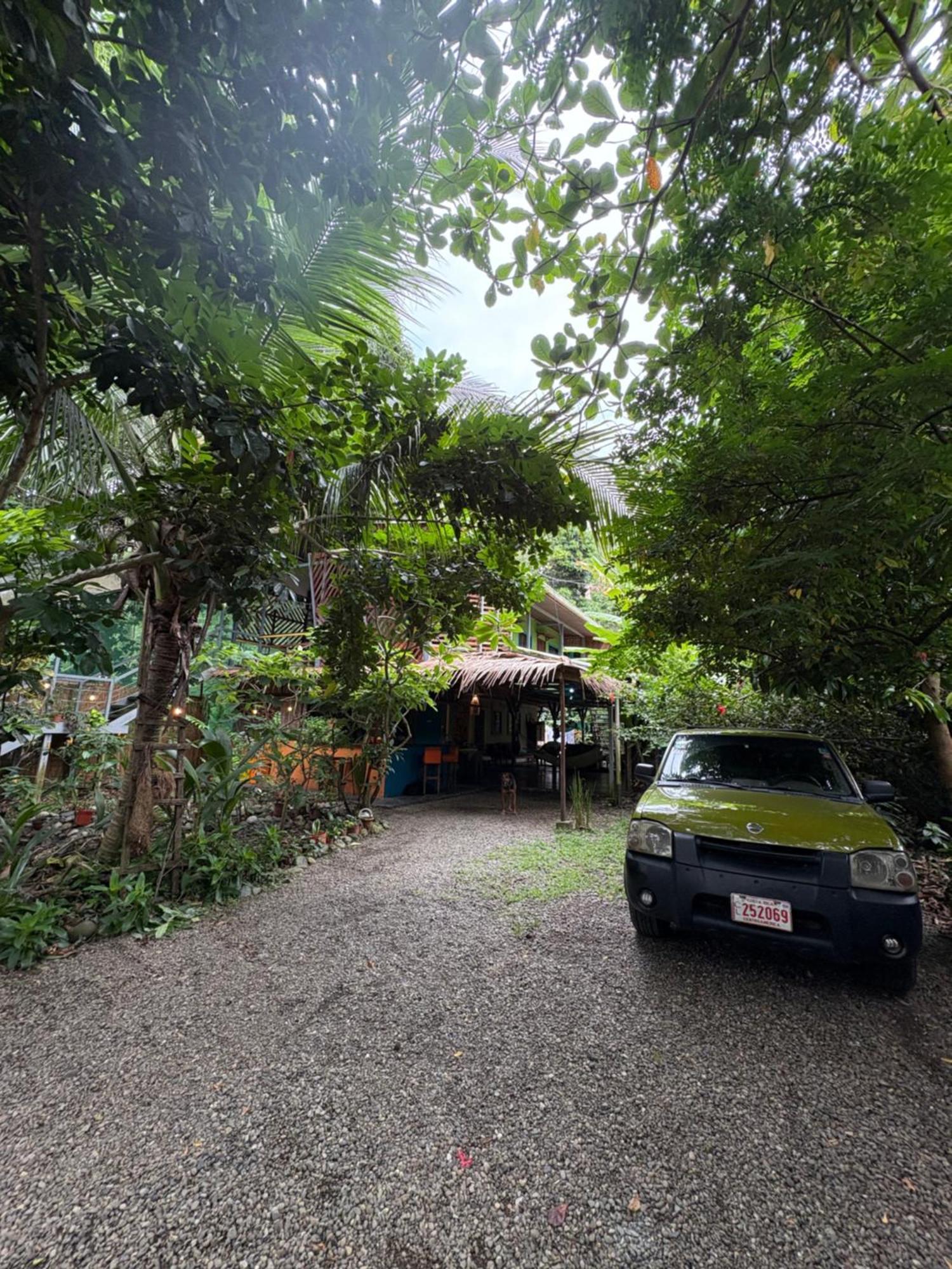 ホテル Organico Punta Riel カウイータ エクステリア 写真
