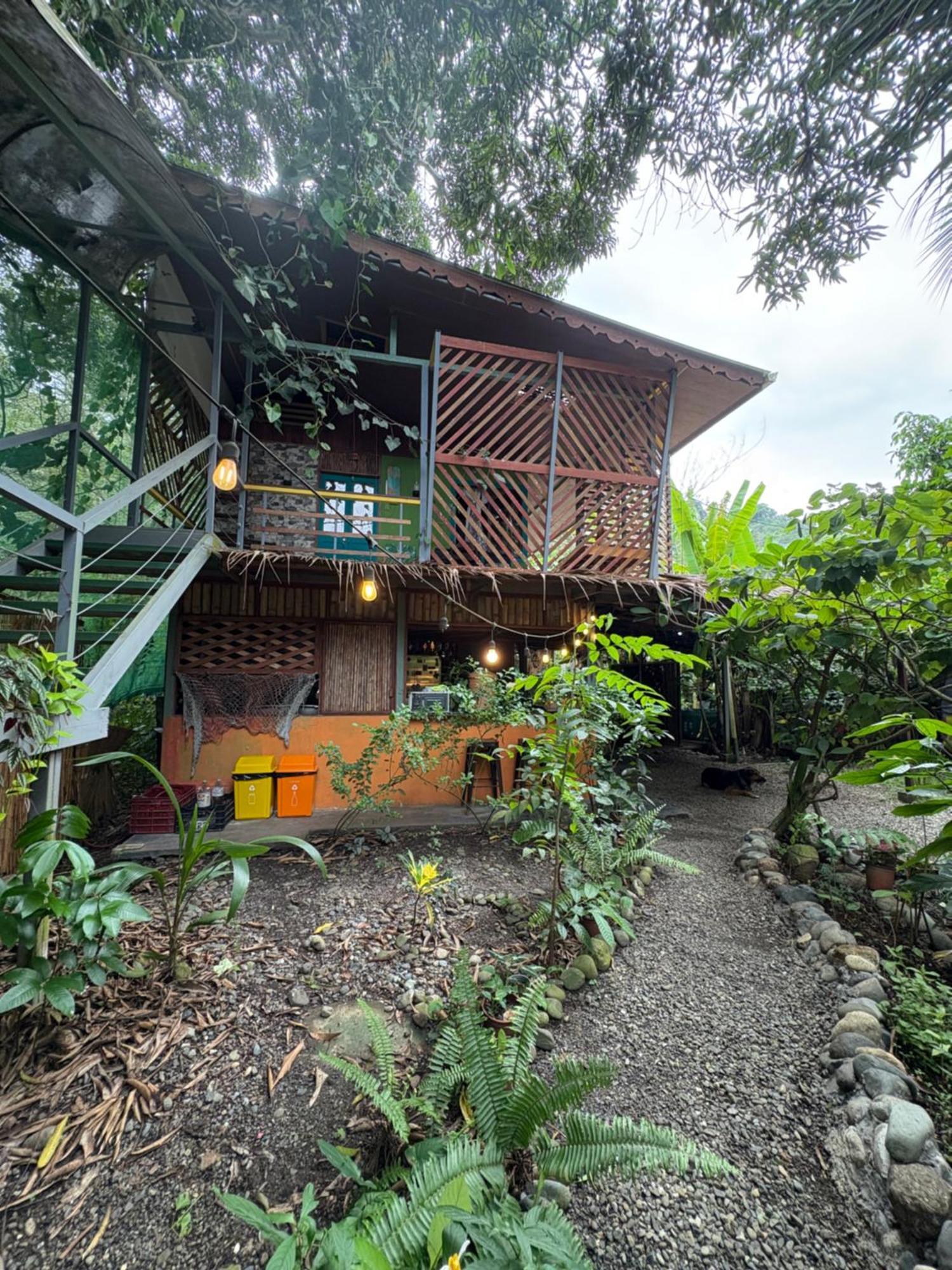 ホテル Organico Punta Riel カウイータ エクステリア 写真