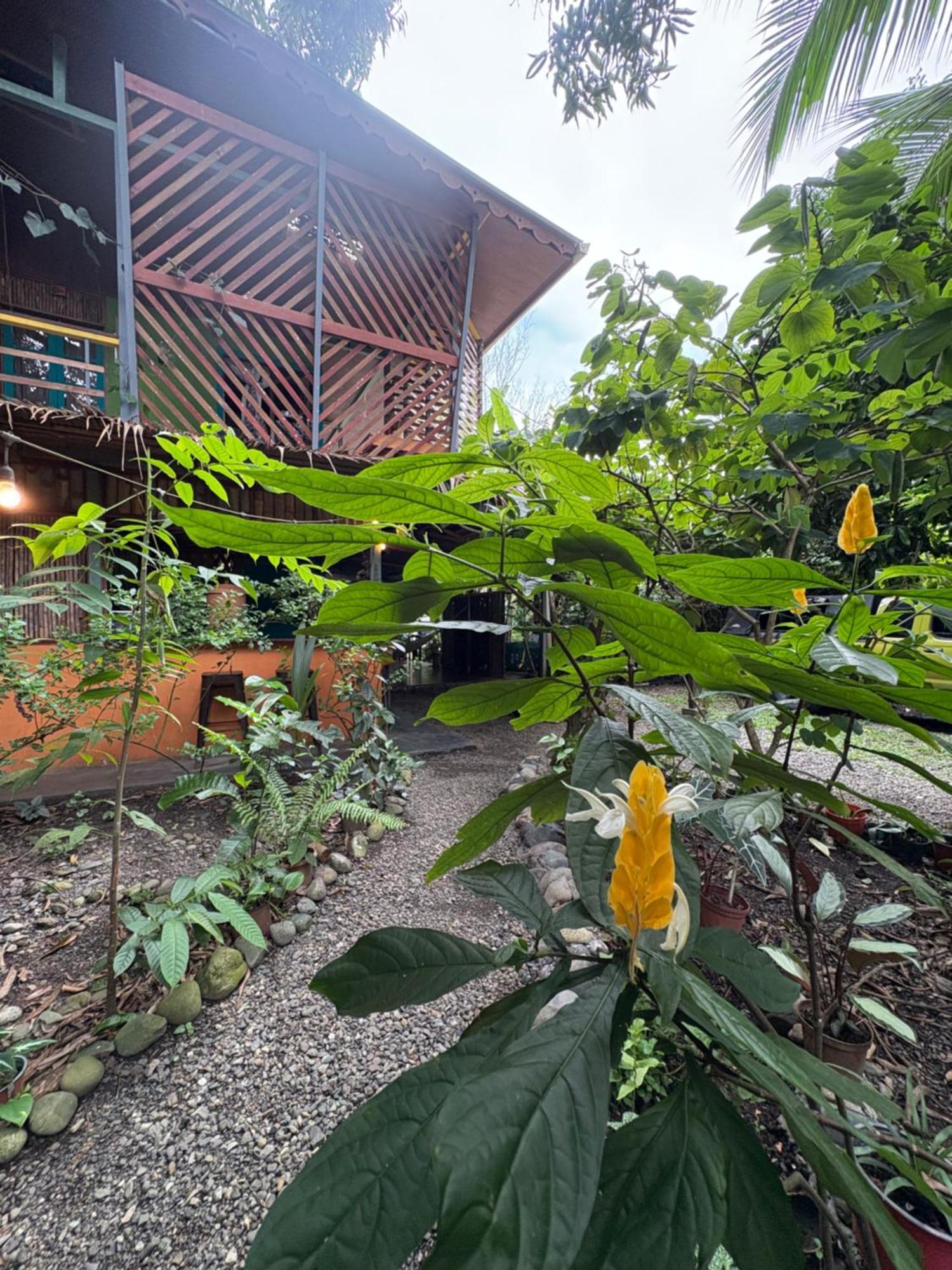 ホテル Organico Punta Riel カウイータ エクステリア 写真