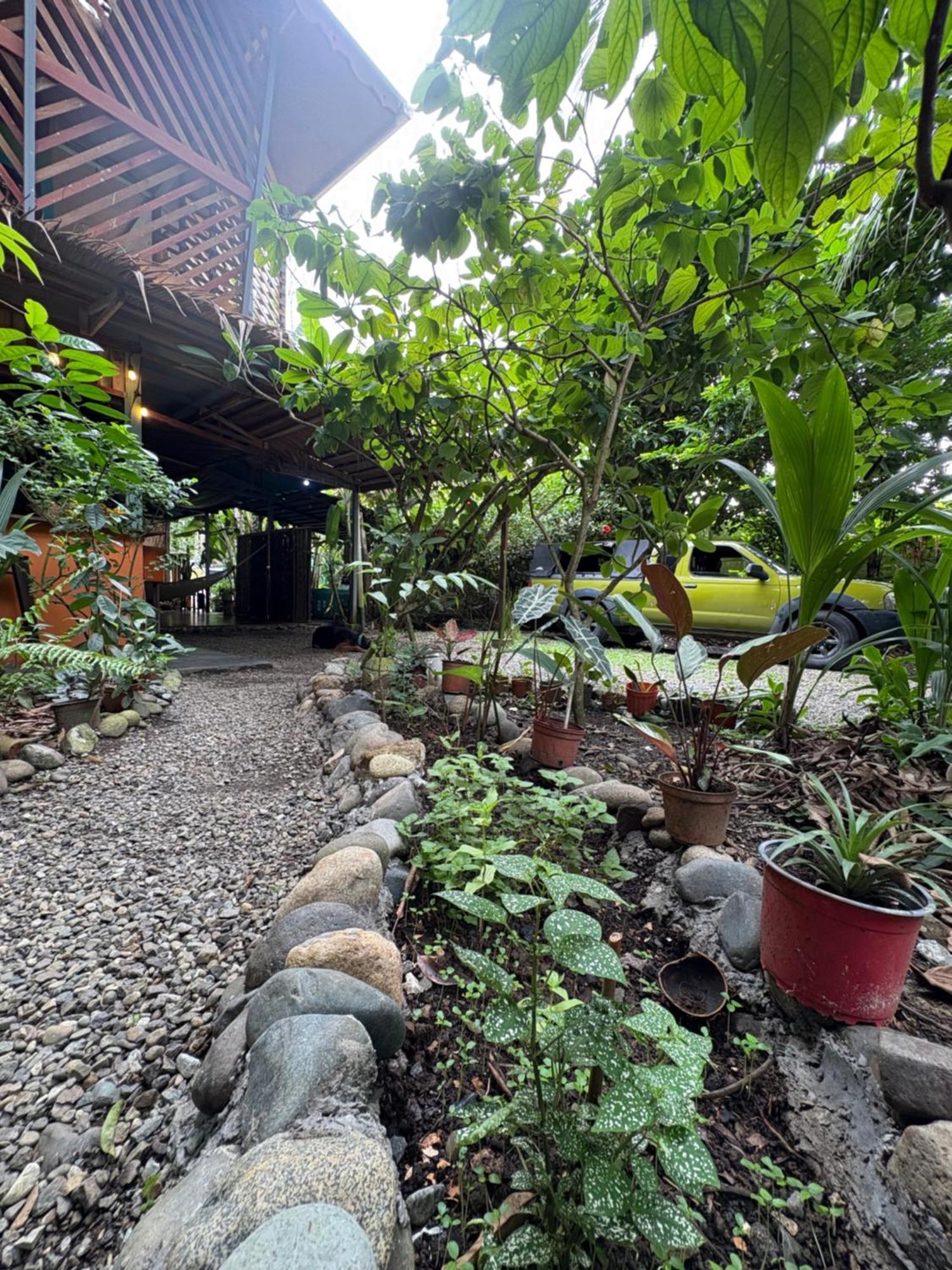 ホテル Organico Punta Riel カウイータ エクステリア 写真