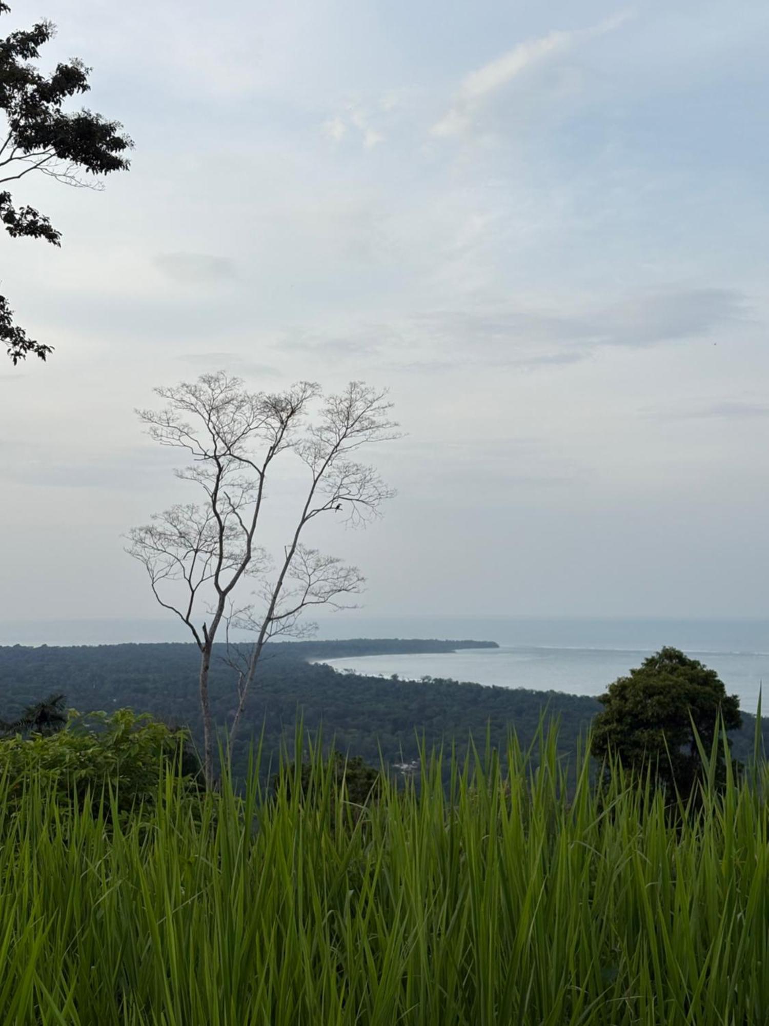 ホテル Organico Punta Riel カウイータ エクステリア 写真
